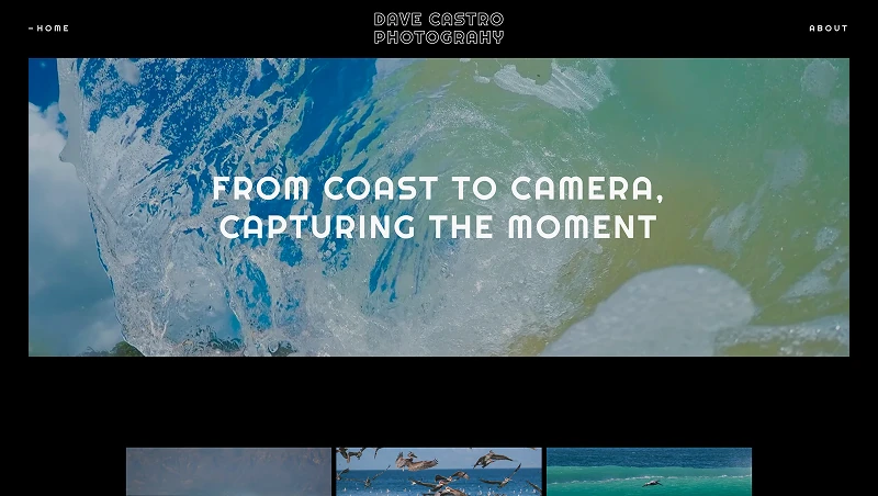 Screenshot of Dave Castro Photography project