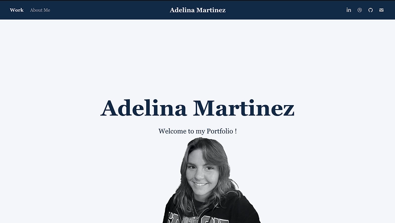 Screenshot of Current and Old Portfolio project